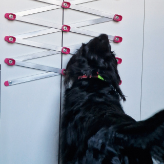 copy of Accordion Scent Strip PRO – aluminum folding scent strip for nosework