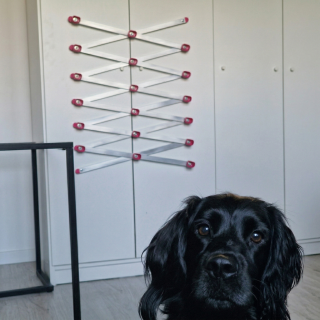 copy of Harmonijka Węchowa PRO – barre de parfum en aluminium pliable pour le nosework