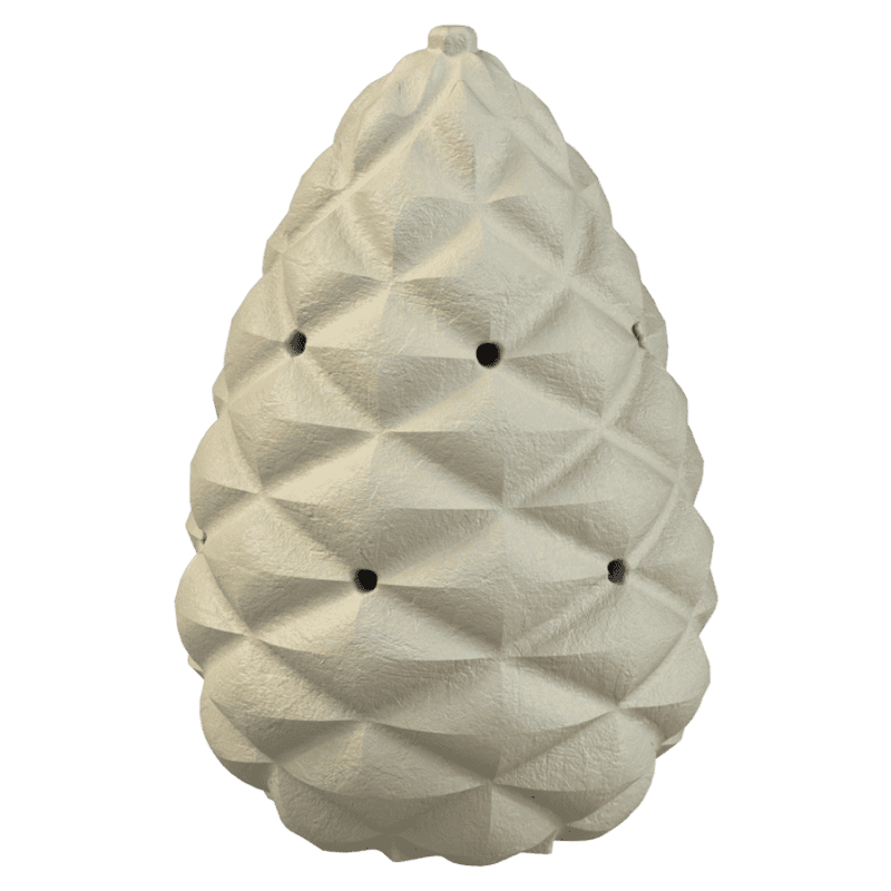 Pinecones per allenamenti di nosework | Fluo Dog