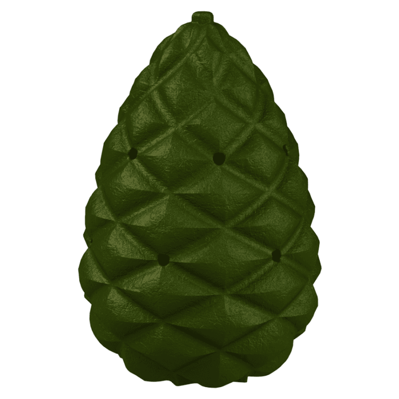 Pinecones para entrenamientos de nosework | Fluo Dog