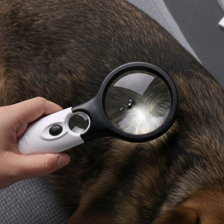 Förstoringsglas för att söka efter loppor och fästingar med LED-belysning (10x och 30x)