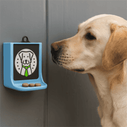 Dwufunkcyjne ukrycie typu Pairing Box z wbudowanym magnesem do treningów nosework i scent work