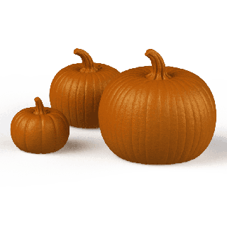Halloweenpumpa nosework 🎃 – gummileksak för doftträning (3 storlekar)