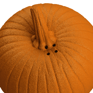 Halloweenpumpa nosework 🎃 – gummileksak för doftträning (3 storlekar)