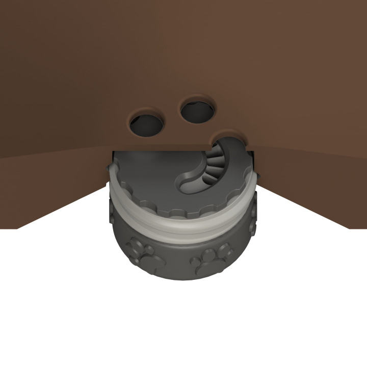 Przekrój dysku do treningów węchowych z psem