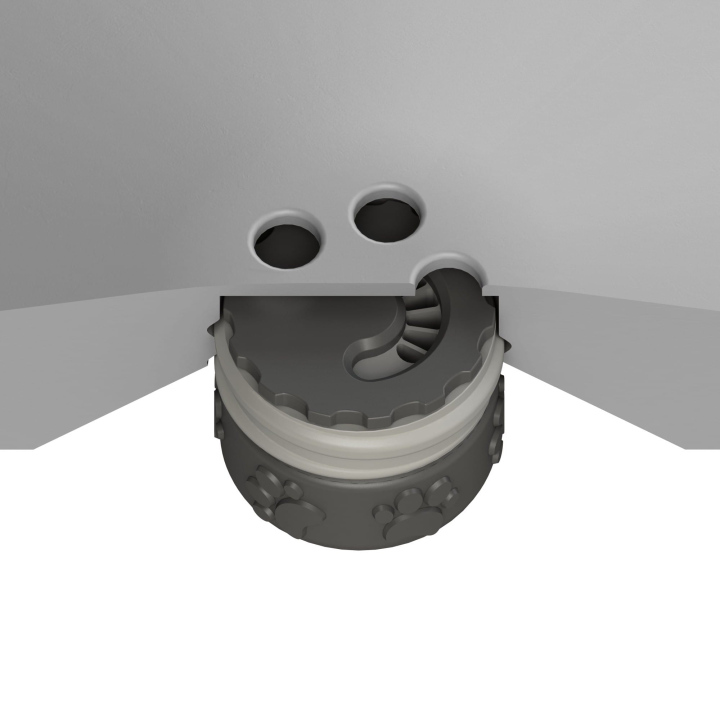 Przekrój dysku do treningów węchowych z psem