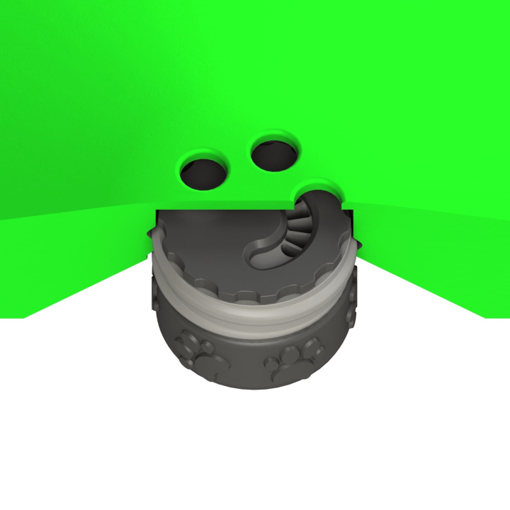 Przekrój dysku do treningów węchowych z psem