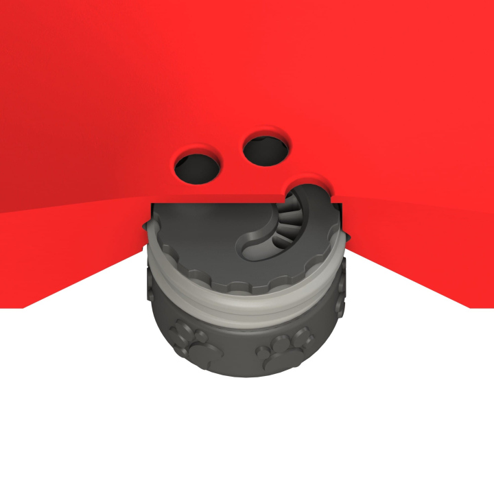 Przekrój dysku do treningów węchowych z psem