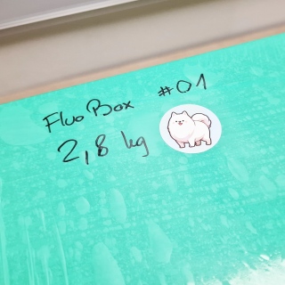 🏷️FluoBox #01 - auction of MysteryBox package worth 737 zł 🎁