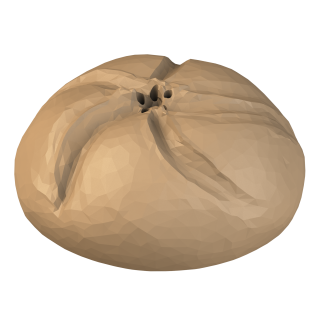 Atrapa Kajzerki do Noseworku