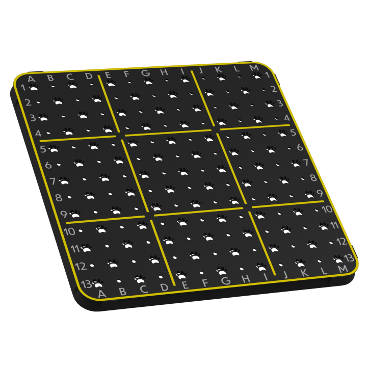 Tablica węchowa z gniazdami na puszki zapachowe - niezawodne narzędzie do nauki celnego wskazywania źródła zapachu.