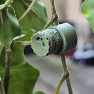 Bluszcz węchowy - naturalny kamuflaż z 10 punktami zapachowymi