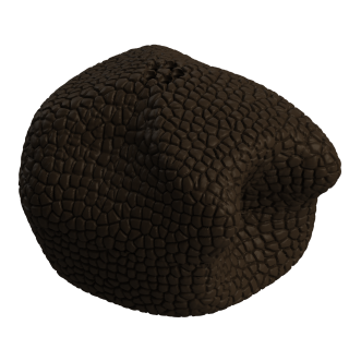 Large Tracking Truffle - realistic dummy for scent work training