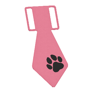 Krawat z łapką pour chien