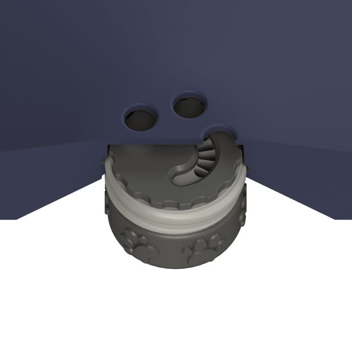 Przekrój dysku do treningów węchowych z psem