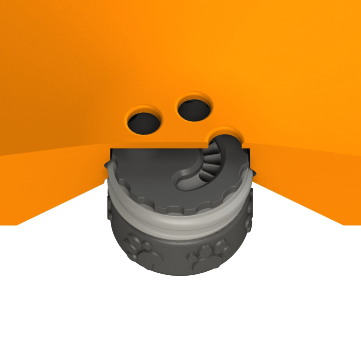 Przekrój dysku do treningów węchowych z psem