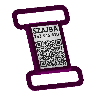 Adresõngas QR-koodi ja veebivisitka jaoks