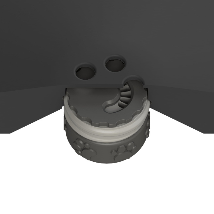 Przekrój dysku do treningów węchowych z psem