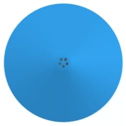 Dysk węchowy nosework - widok od góry Dysk węchowy nosework - widok od góry