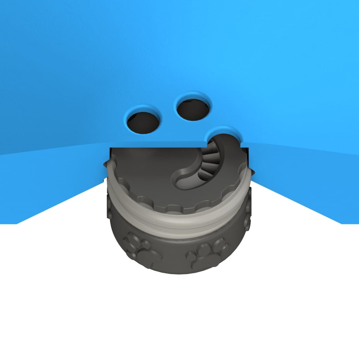 Przekrój dysku do treningów węchowych z psem Przekrój dysku do treningów węchowych z psem