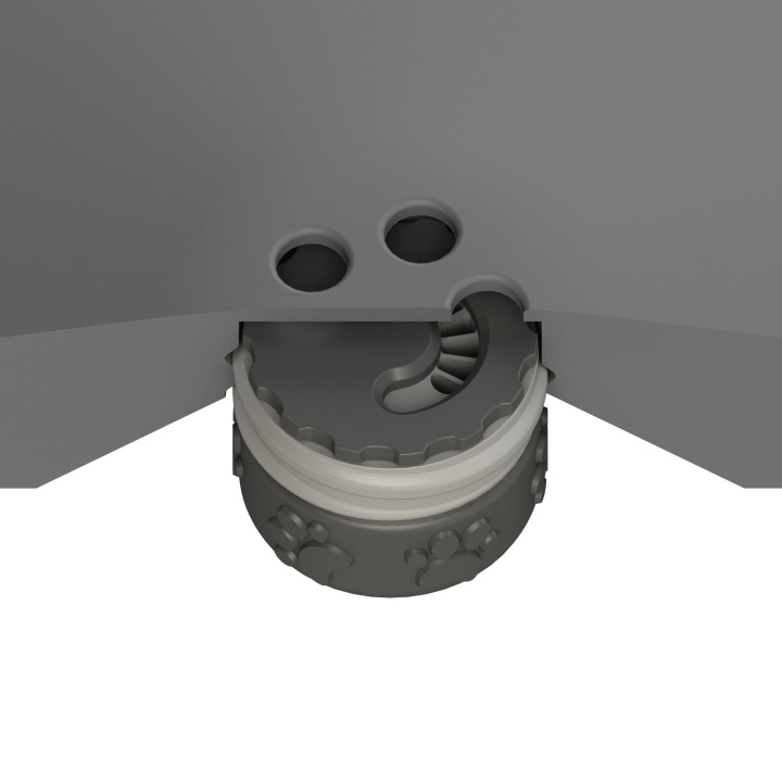 Przekrój dysku do treningów węchowych z psem