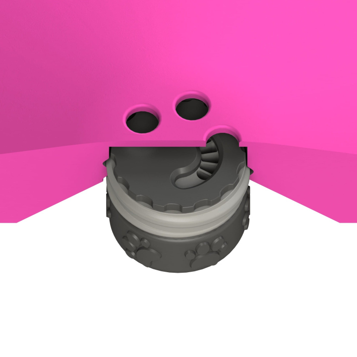 Przekrój dysku do treningów węchowych z psem