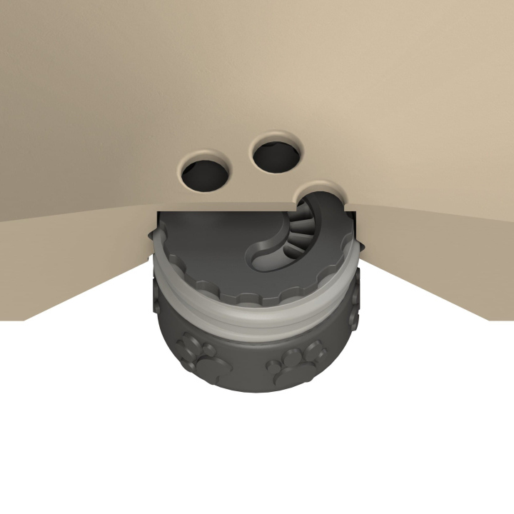 Przekrój dysku do treningów węchowych z psem