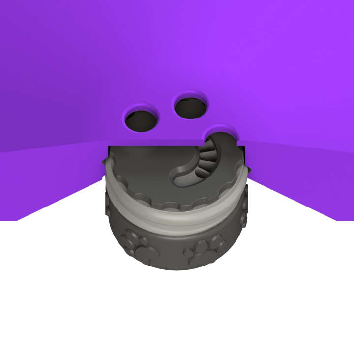 Przekrój dysku do treningów węchowych z psem