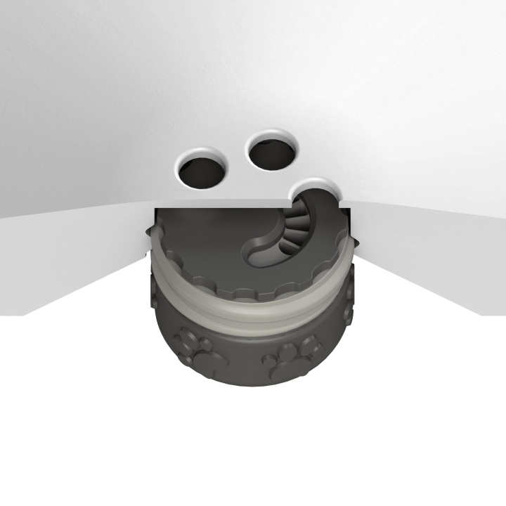 Przekrój dysku do treningów węchowych z psem