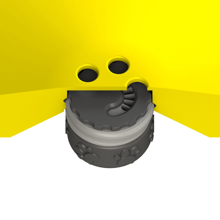 Przekrój dysku do treningów węchowych z psem