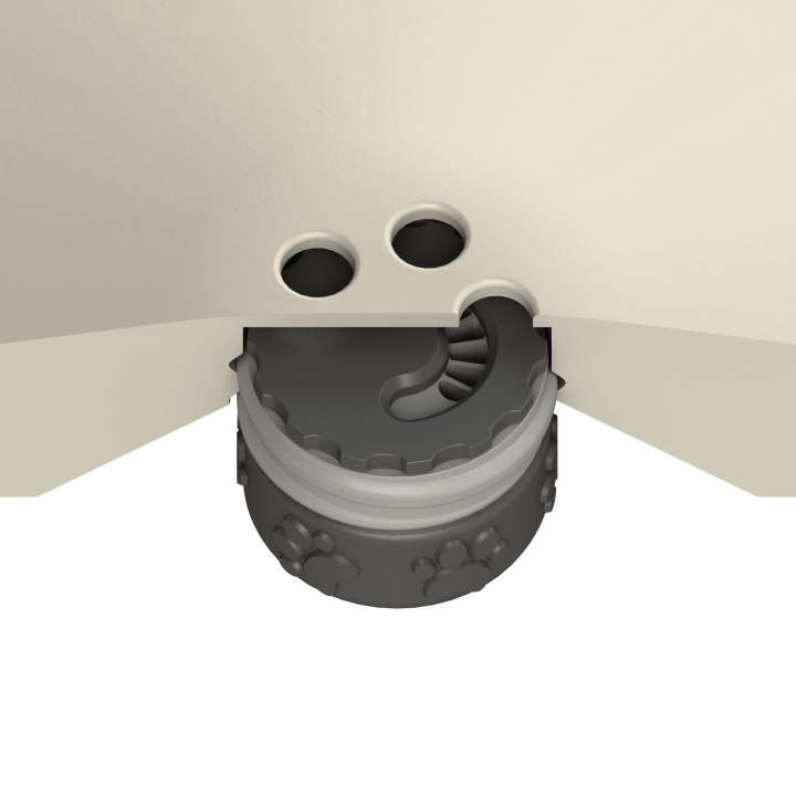 Przekrój dysku do treningów węchowych z psem