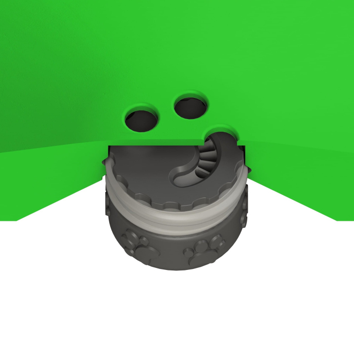 Przekrój dysku do treningów węchowych z psem