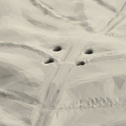 Otwory w atrapie liścia dębu