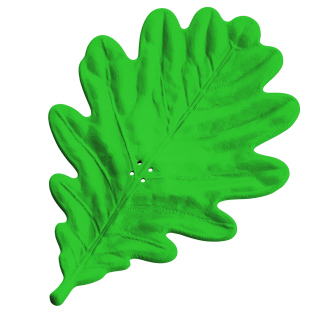 Oak Leaf - scent hiding for scent work exercises