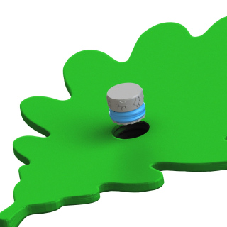 Li leaf oak - peidik lõhna scent training harjutusteks