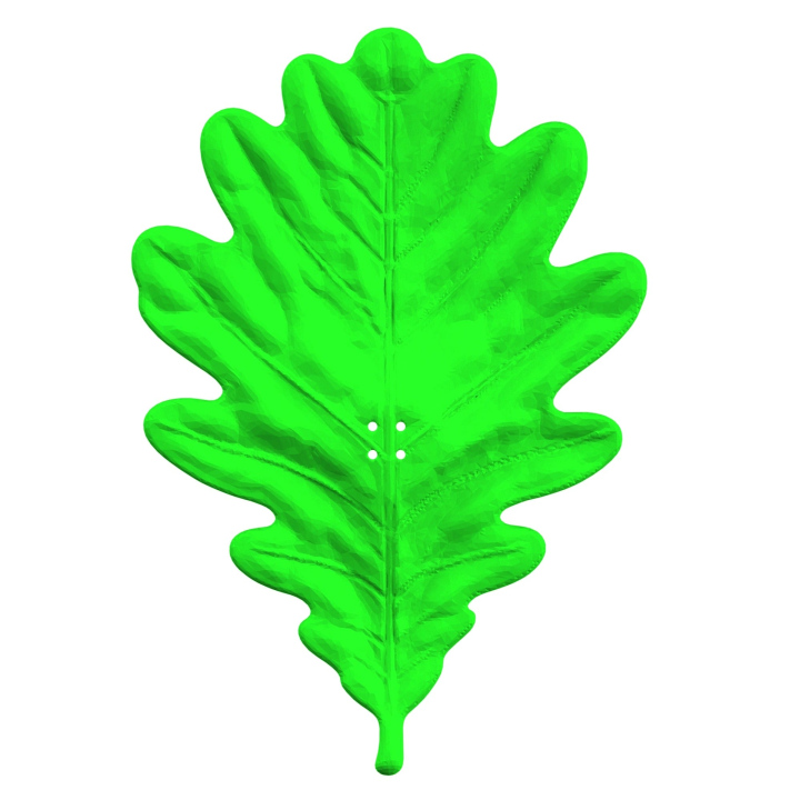 Realistyczna atrapa liścia dębu do treningów z psem