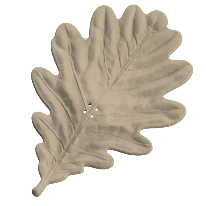 Liść dębu - atrapa do ćwiczeń węchowych z psem