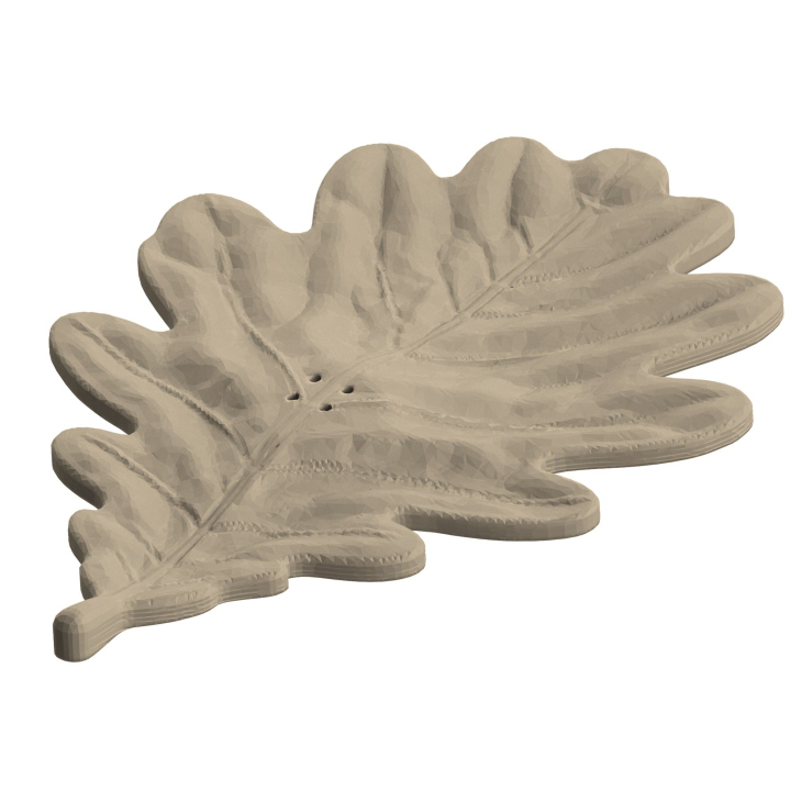 Atrapa liścia dębu do treningów nosework