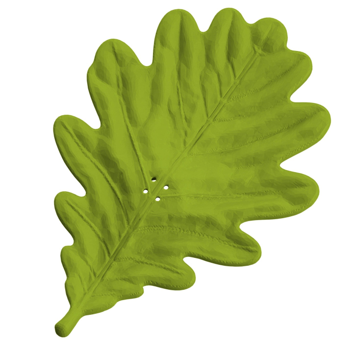 Liść dębu - atrapa do ćwiczeń węchowych z psem