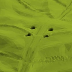 Otwory w atrapie liścia dębu