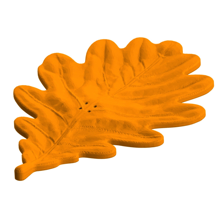 Atrapa liścia dębu do treningów nosework