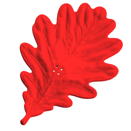 Liść dębu - atrapa do ćwiczeń węchowych z psem