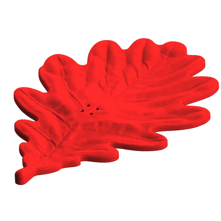 Atrapa liścia dębu do treningów nosework