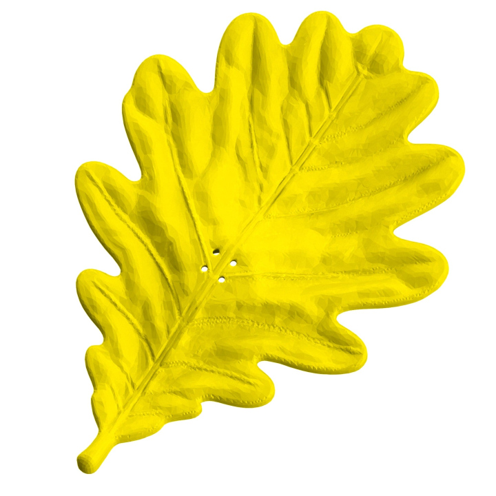 Liść dębu - atrapa do ćwiczeń węchowych z psem