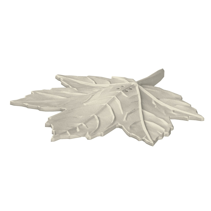 Atrapa klonowego liścia do trenowania scent work