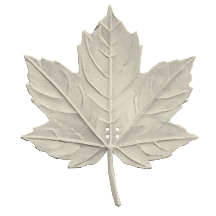 Realistyczna atrapa liścia klonu do treningów z psem