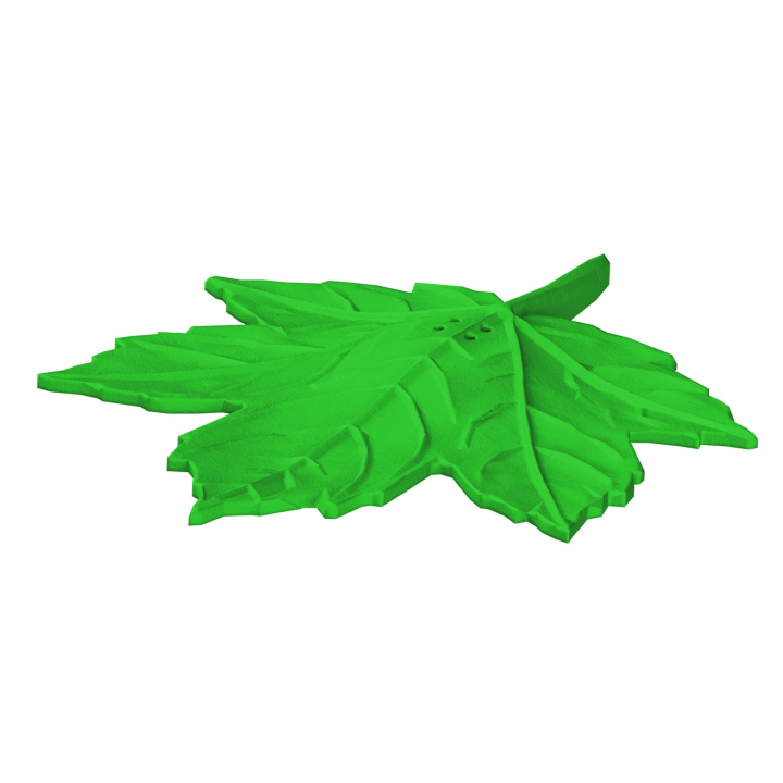 Atrapa klonowego liścia do trenowania scent work