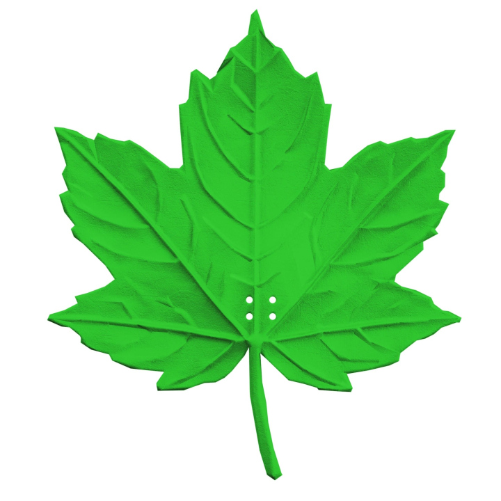 Realistyczna atrapa liścia klonu do treningów z psem