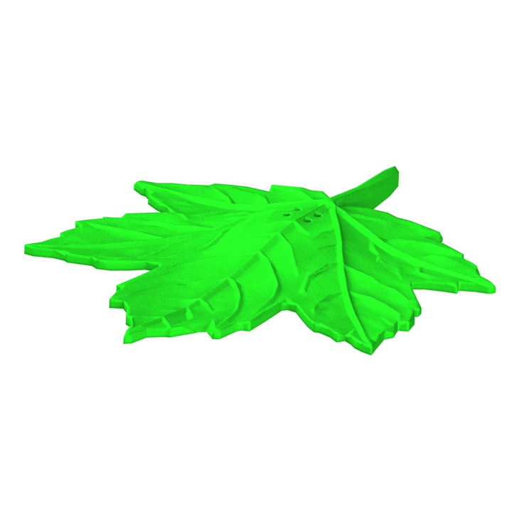 Atrapa klonowego liścia do trenowania scent work