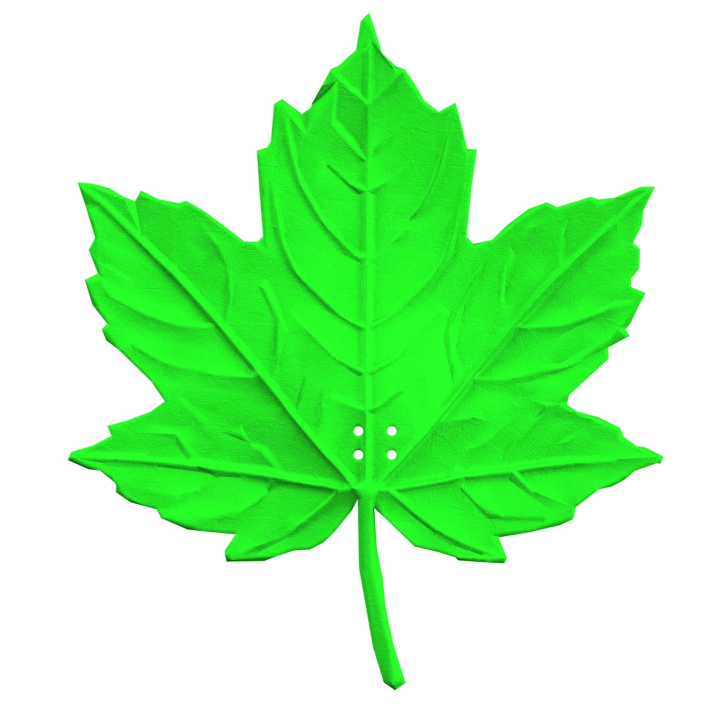 Realistyczna atrapa liścia klonu do treningów z psem